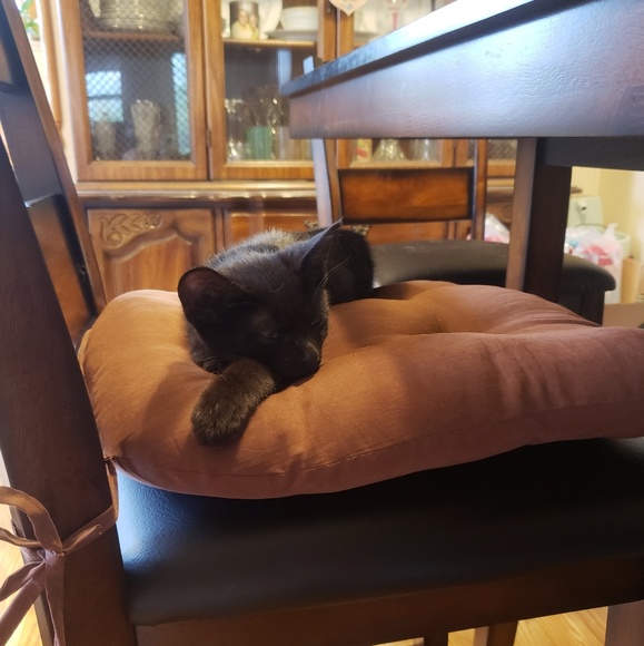 Meet your Posher, Venessa - Picture 1 of 1